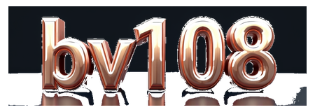 bv108 logo